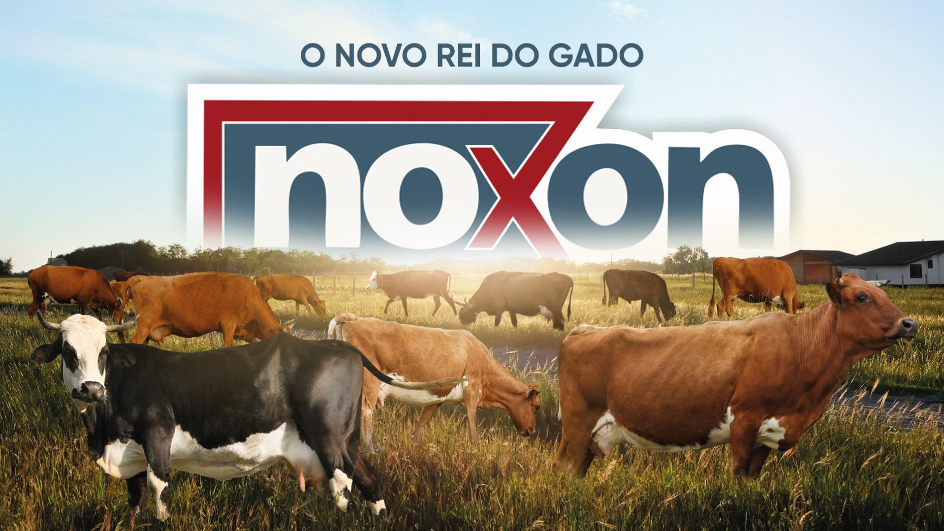 Noxon